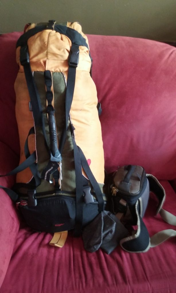 Stanley, six continents under his belt and barely worse for wear. Noticed a little hole and potential zipper explosion, but think he'll pull through.