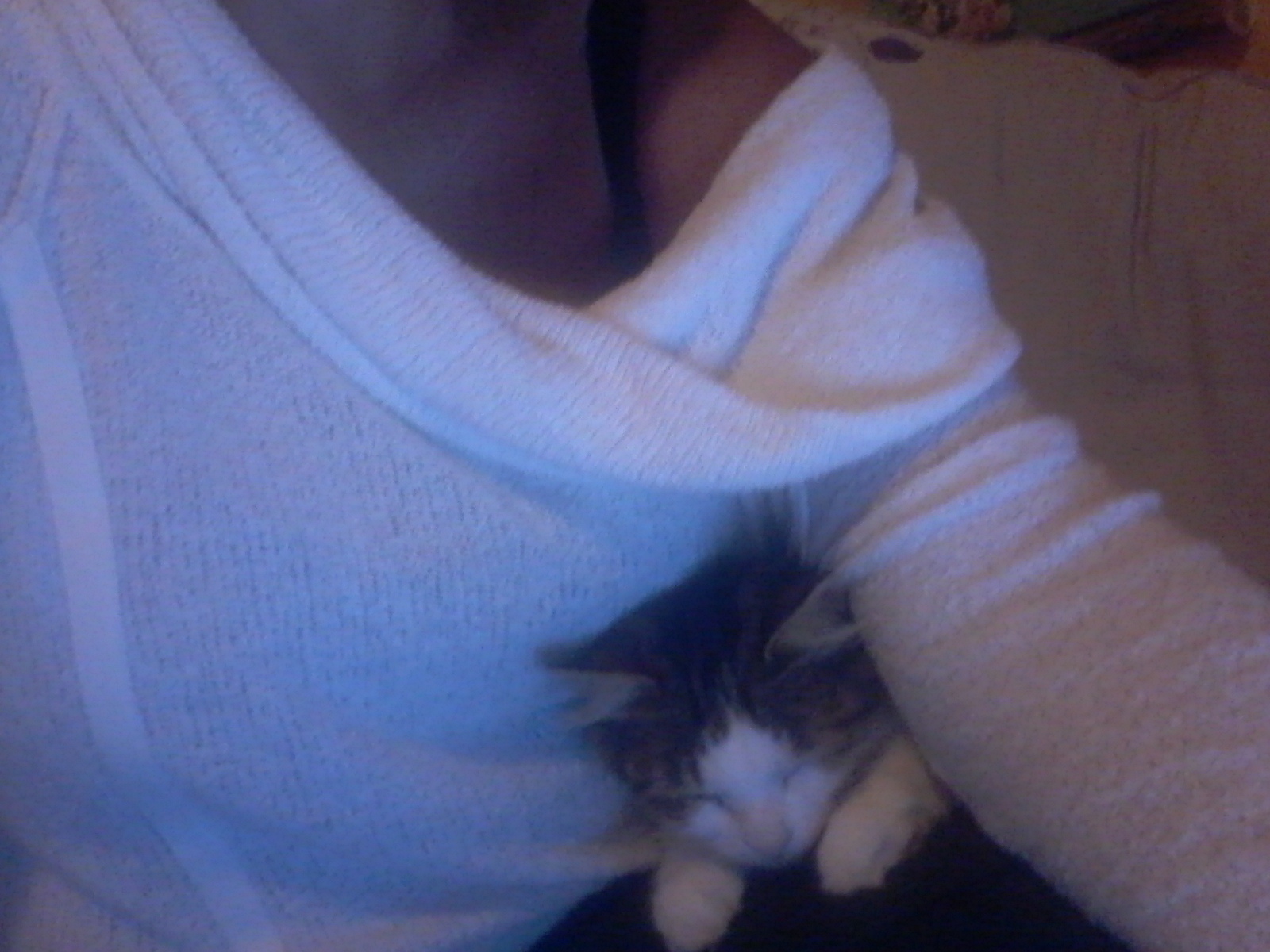 The little burrowing Turandot